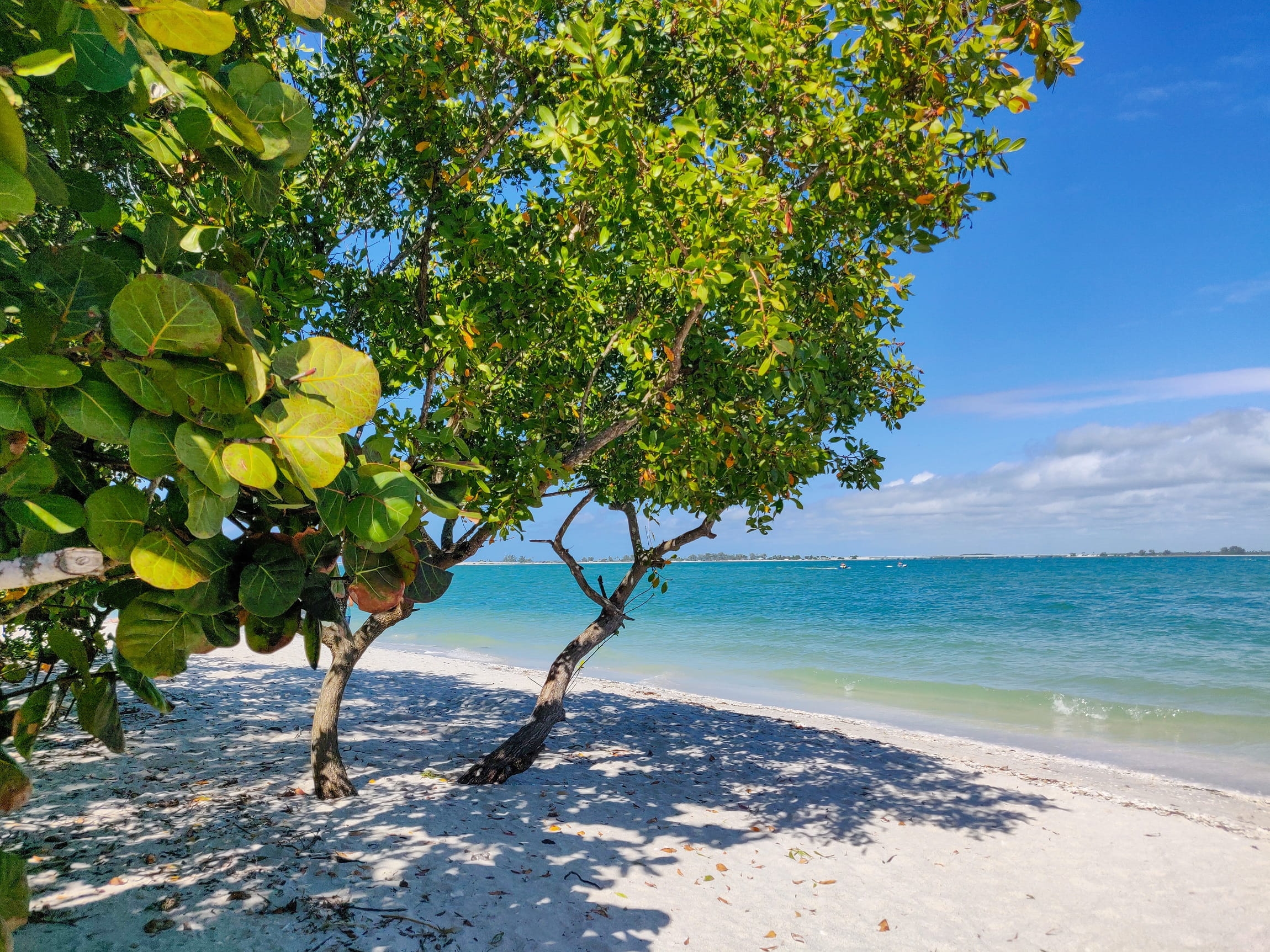 Une plage paradisiaque