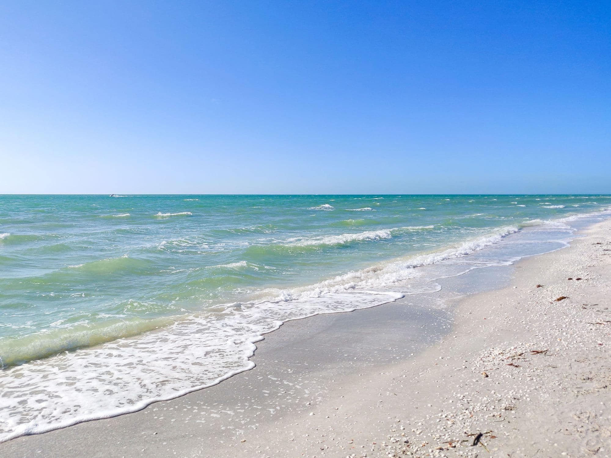 Visiter l’île de SANIBEL en FLORIDE