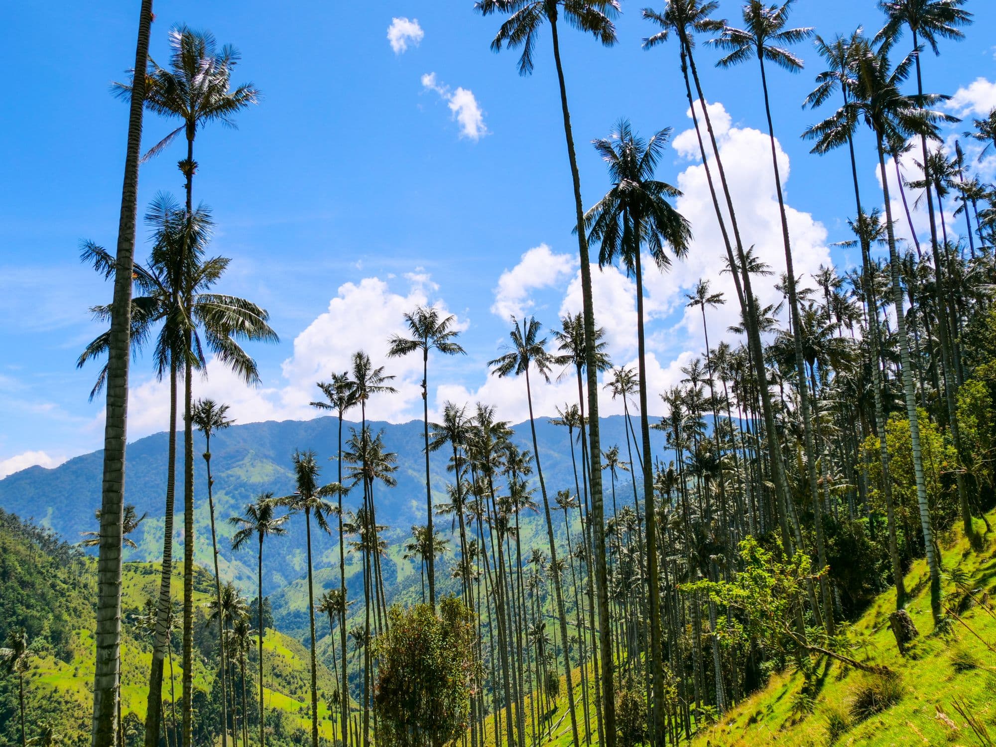 Colombie
