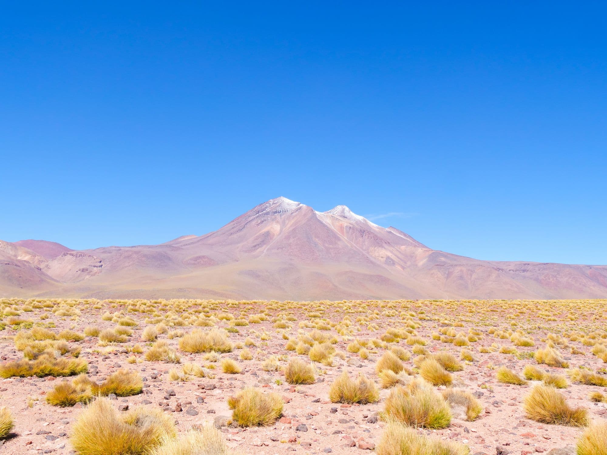 Paysage de l'Atacama