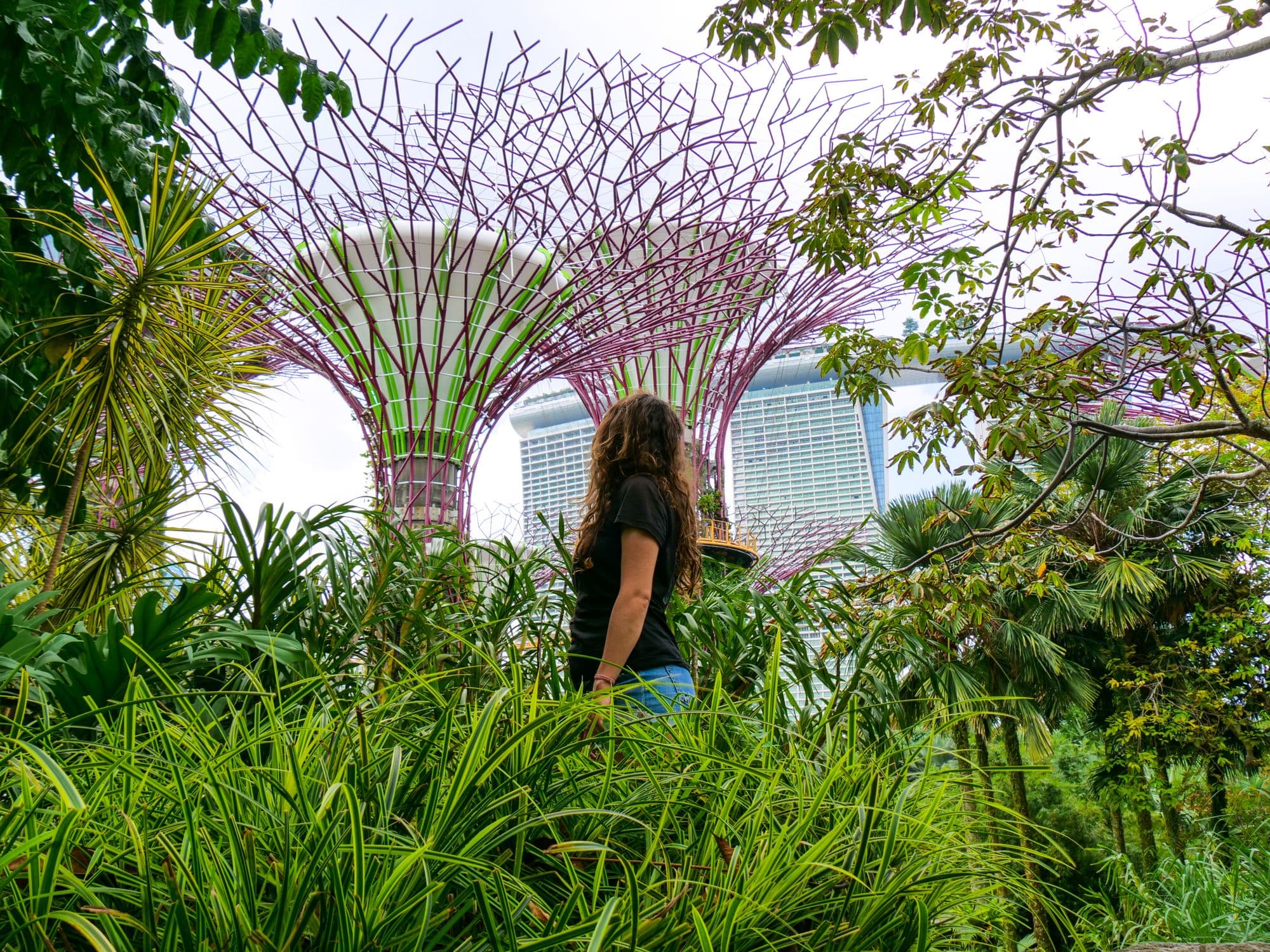 Moi qui regarde les Supertrees dans Gardens by the Bay